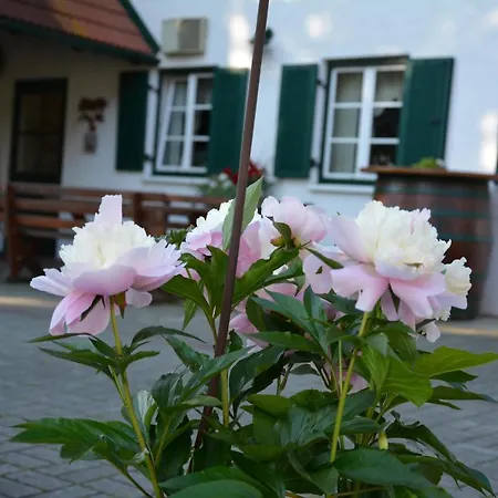 Farmház Weingut Seiner Vlg. Kraxner *
