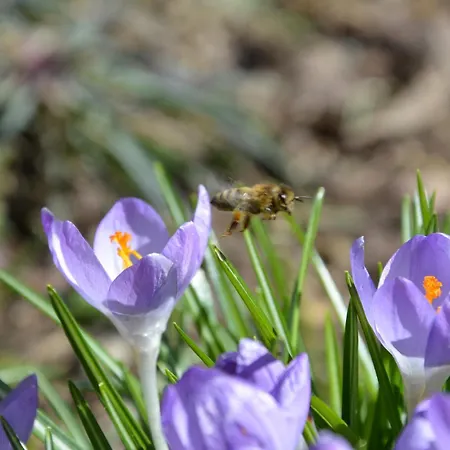 Farm stay Weingut Seiner Vlg. Kraxner