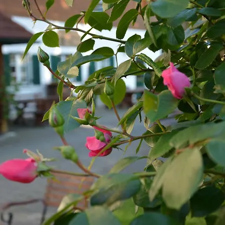 Weingut Seiner Vlg. Kraxner *