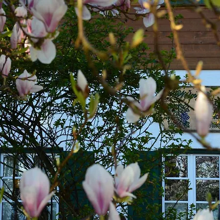 Weingut Seiner Vlg. Kraxner Greisdorf