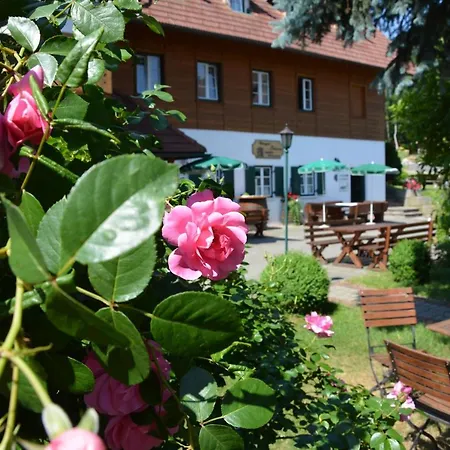 Farmház Weingut Seiner Vlg. Kraxner Greisdorf