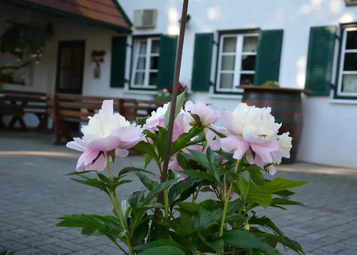 مزرعة للإقامة Weingut Seiner Vlg. Kraxner *