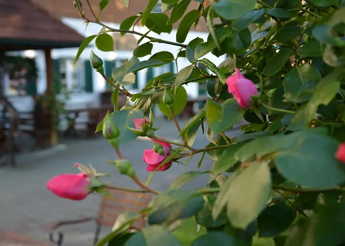 Weingut Seiner Vlg. Kraxner *