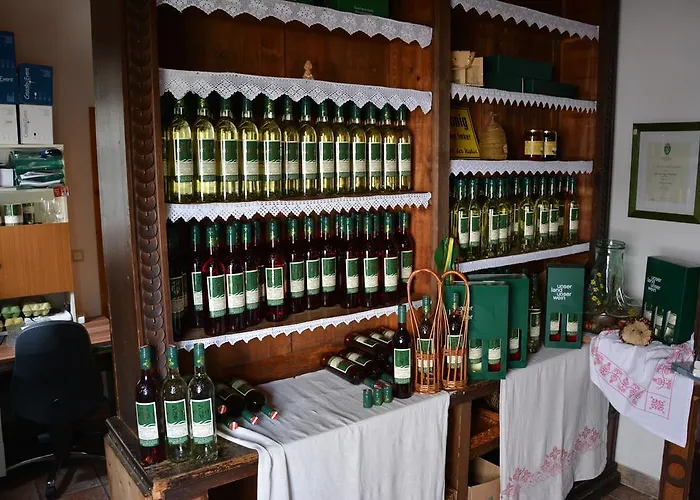 Weingut Seiner Vlg. Kraxner Greisdorf