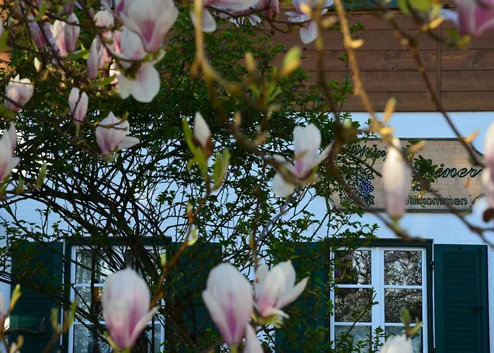 Weingut Seiner Vlg. Kraxner Greisdorf